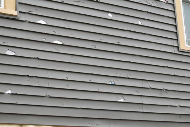 Trusted Gardnertown, NY Junk Removal Experts